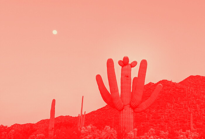 WE&rsquo;RE ALL EATING CACTUS&hellip;